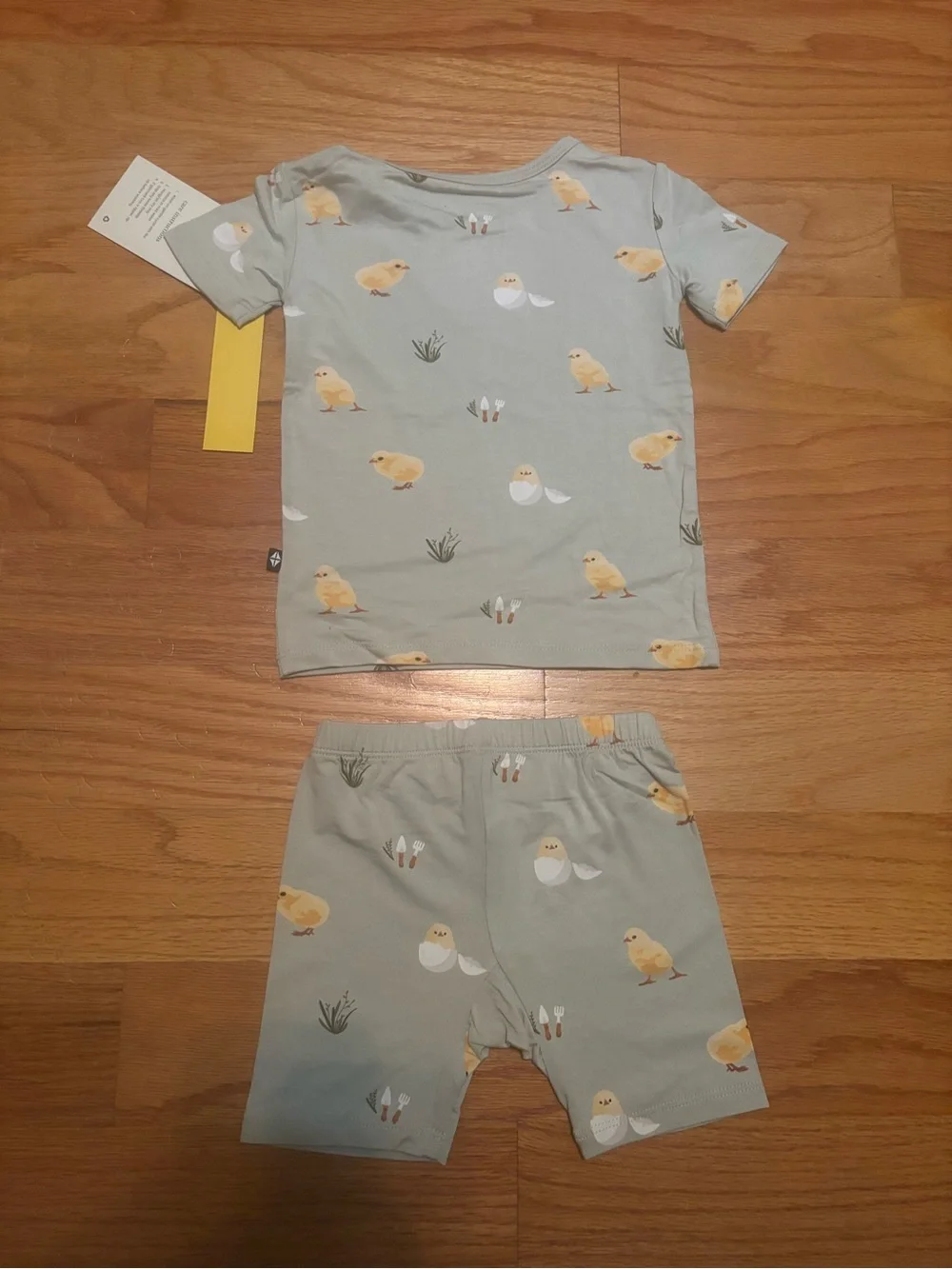 NWOT Kyte Baby Aloe Chick Short Sleeve Pajama Set! So soft and cute!!